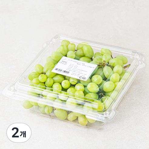 다조은 칠레산 씨없는 청포도, 1.2kg, 2개