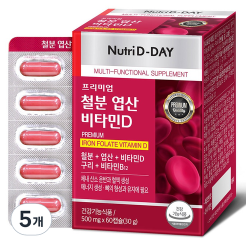 뉴트리디데이 프리미엄 철분 엽산 비타민D 30g, 60정, 5개