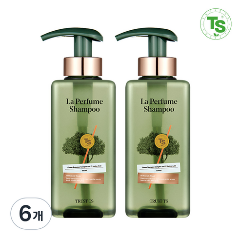 TS 라퍼퓸 샴푸 드라마틱 우디향, 400ml, 6개