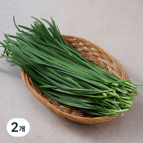국내산 부추, 300g, 2개