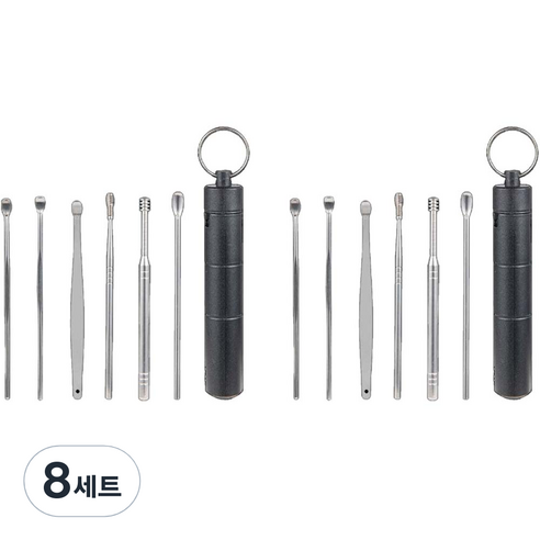 데일리리빙 플라스틱 케이스 귀이개 세트 블랙, 8세트