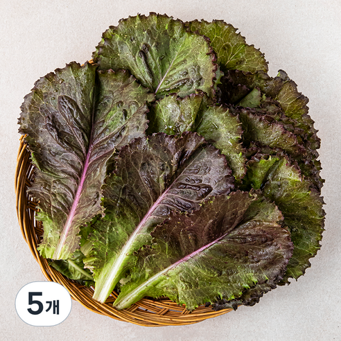 국내산 적로메인, 150g, 5개