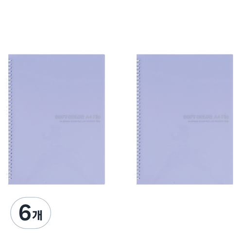 아이비스 컬러 PP 스프링 클리어파일 40, 바이올렛, 6개