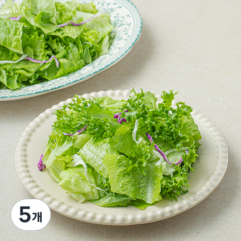 샐러팜 패밀리 샐러드, 350g, 5개