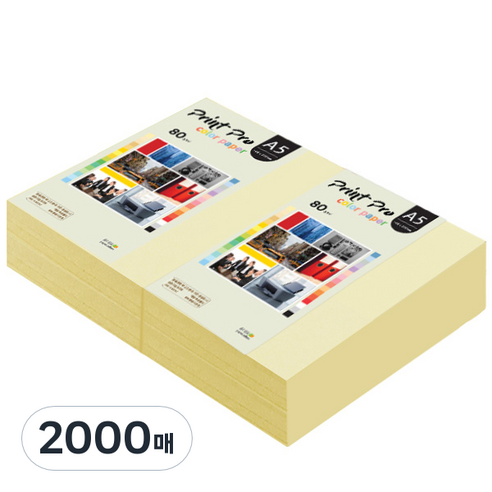 종이문화 프린트 프로 칼라 복사용지 No 01 레몬 80g, A5, 2000매
