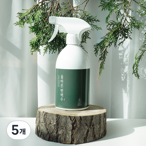 페인트인포 올바른 고농도 편백수 피톤치드 스프레이 본품, 300ml, 5개