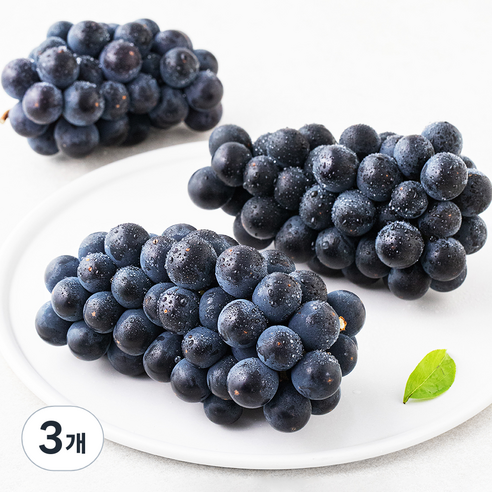 산지직송 아주마 영동 상주산 캠벨포도, 600g(2~4수), 3개