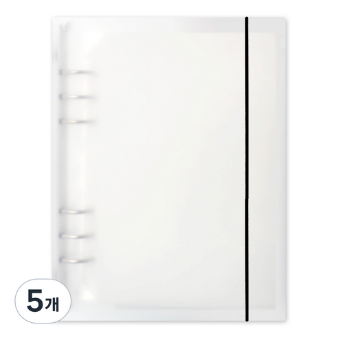 데얼스 A5 하드바인더 6공 30매, 2포켓 세로, 5개