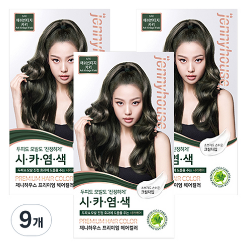 제니하우스코스메틱 프리미엄 헤어컬러 염모제, 애쉬빈티지카키6AK, 9개
