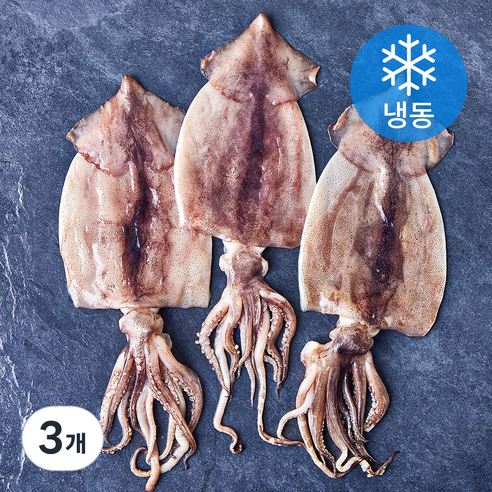 고등어청년 할복오징어 (냉동), 3개, 500g