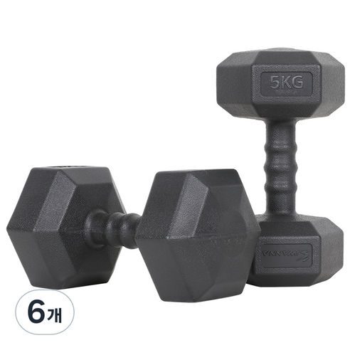아이워너 맨즈 육각아령 블랙, 5kg, 6개