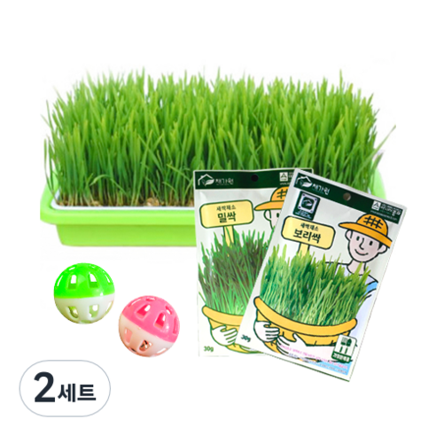 채가원 퍼피가드 캣글라스 2종, 보리, 밀, 2세트