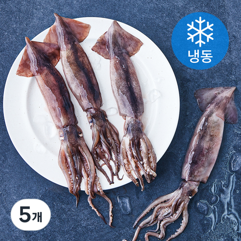 고소한 내장 한입 통찜용 오징어 4~7개입 (냉동), 500g, 5개