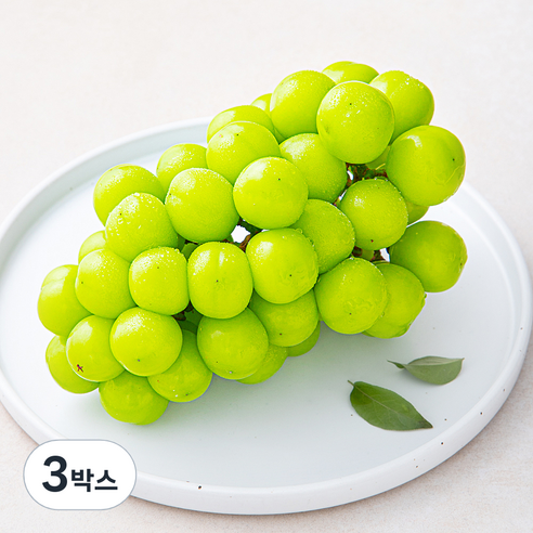 산지직송 아주마 비파괴 당도 선별 영동 상주산 샤인머스켓, 600g, 3박스