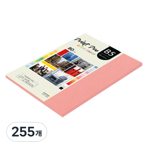 종이문화 프린트프로 얇은 칼라복사지 No 25 새몬 80g, B5, 255개