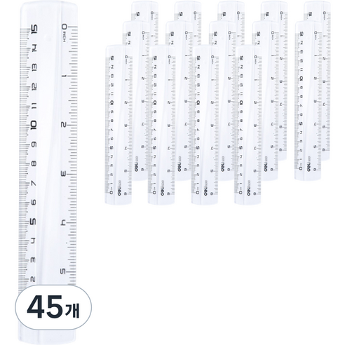 델리 잡기 쉬운 자 15cm, 투명, 45개