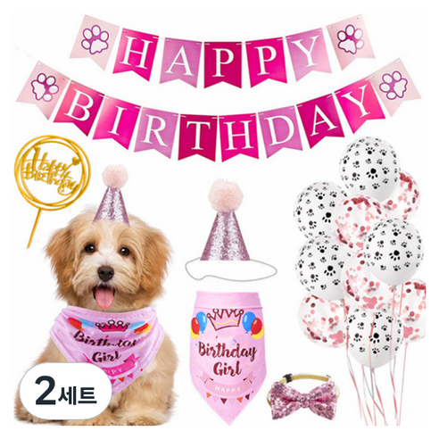 마켓감성 강아지 쁘띠 생일파티세트, 타입4, 2세트