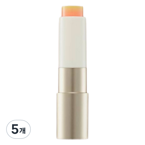 맥퀸뉴욕 배러 댄 키스 립밤, 포올, 3.5g, 5개