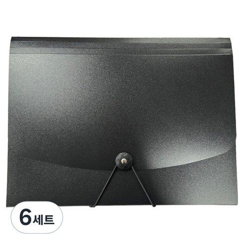 도큐모 서류 정리함 13칸 아코디언파일 A4 + 라벨 스티커 세트, 블랙, 6세트