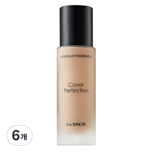 더샘 커버 퍼펙션 컨실러 파운데이션 30ml, 6개, 2.0 리치 베이지