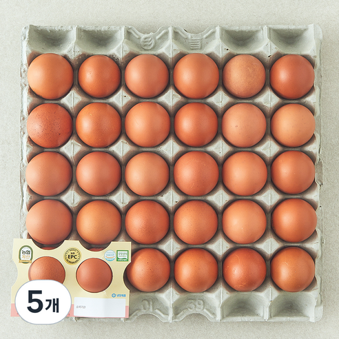 농협 EPC 무항생제 인증 특란 1.8kg, 5개, 30구