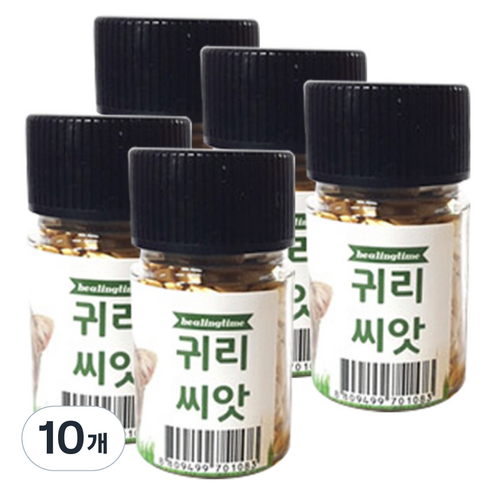힐링타임 캣그라스 씨앗, 귀리, 10개