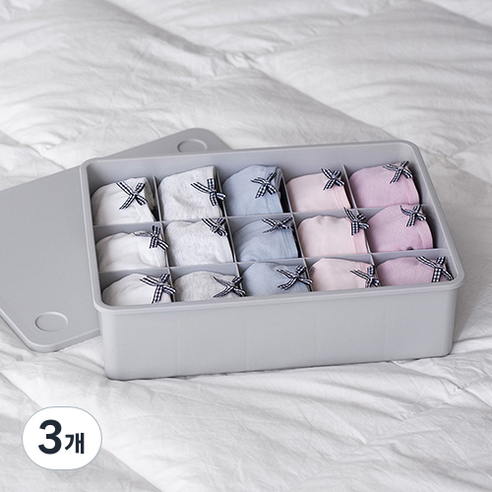 이즈리빙 칸칸칸 속옷 정리함 15칸, 그레이, 3개