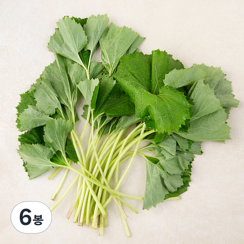 남해 머위, 150g, 6봉