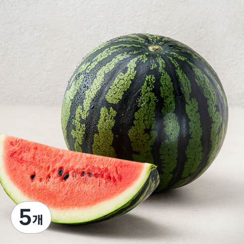 산지직송 당도선별 11brix, 4kg 미만, 5개