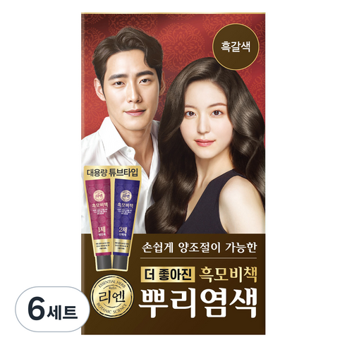 리엔 흑모비책 뿌리새치염색 크림 염모제 세트 100g, 흑갈색, 6세트