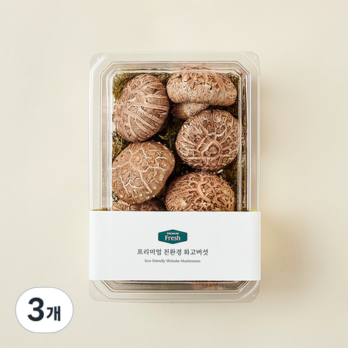 친환경 인증 프리미엄 화고버섯, 200g, 3개