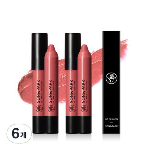 손앤박 립크레용 2.7g, 21 드라이 플라워, 6개