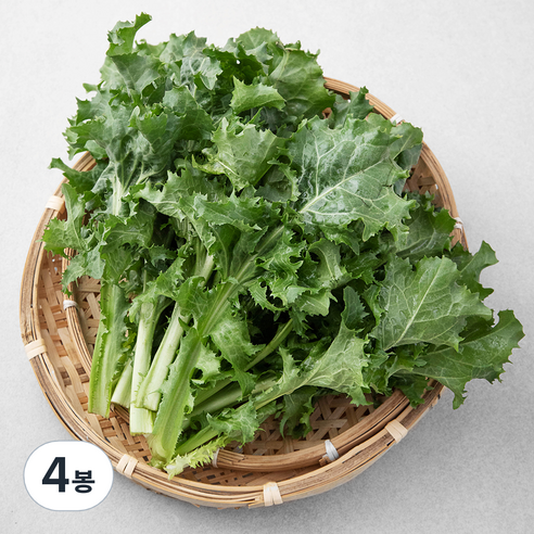 친환경 치커리, 300g, 4봉