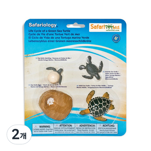 662316 푸른바다거북의성장과정 Life Cycle of a Green Sea Turtle, 2개