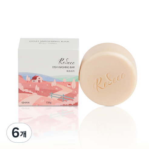 리앤에코 주방 설거지 워싱바, 150g, 6개