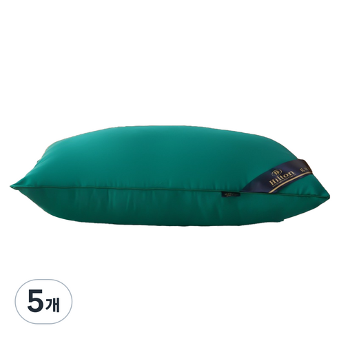 비투윈 편안한 베개솜 500g, 그린, 5개