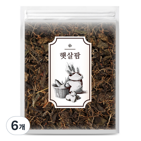 햇살팜 국산 건고추잎, 100g, 6개