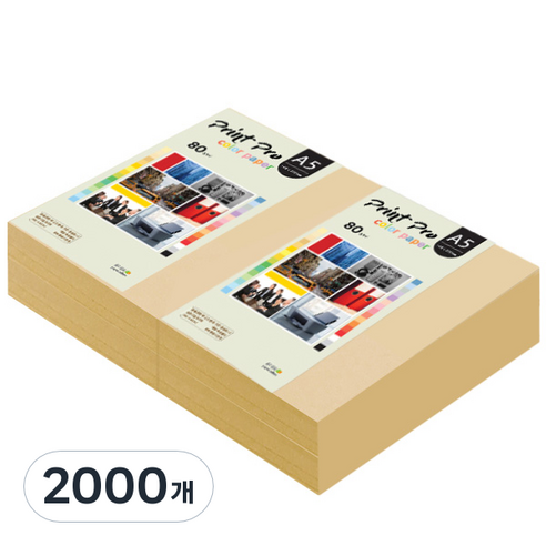 종이문화 프린트 프로 칼라복사지 No.03 베이지 80g, A5, 2000개