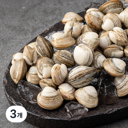 바다림 서해안 산지직송 생물 갯벌 동죽조개 (냉장), 2kg, 3개