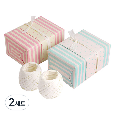 인디케이 양면포장지 민트라인 5p + 핑크라인 5p + 라피아2p, 혼합 색상, 2세트