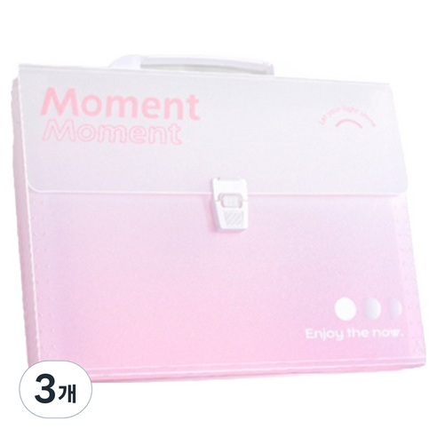 모노테리 도큐먼트 13칸 서류 보관 아코디언파일, 핑크, 3개