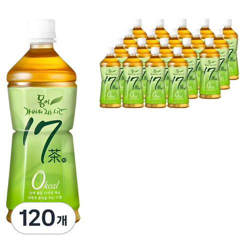 17차 몸이 가벼워지는 시간 차음료, 340ml, 120개