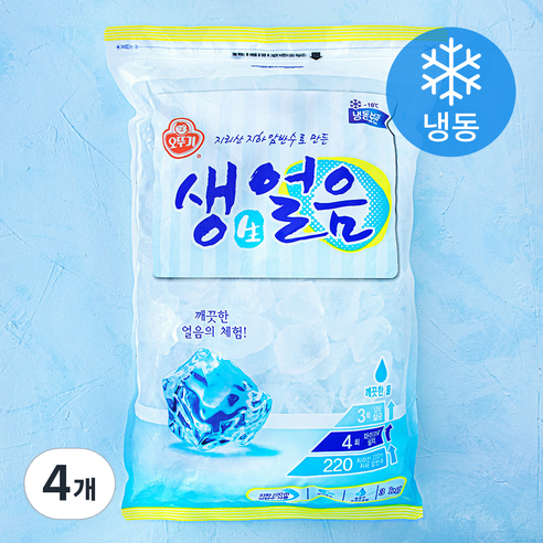 오뚜기 생얼음 (냉동), 3kg, 4개