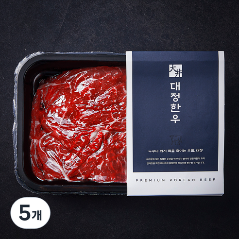 대정한우 국내산 한우 정육 불고기 2등급 (냉장), 300g, 5개