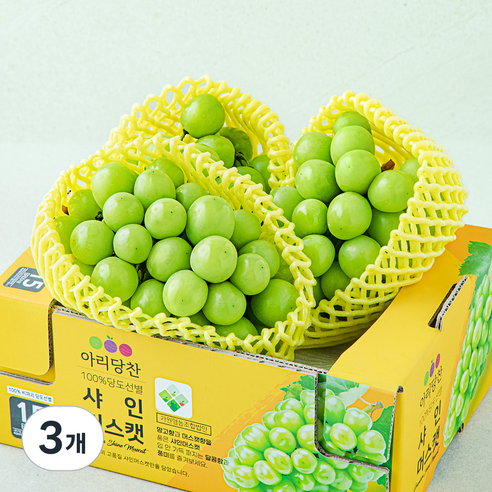 아리당찬 비파괴 당도선별 샤인머스캣, 1kg, 3개