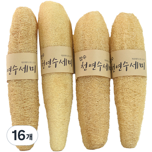 장수 통통한 수세미 일반, 1개, 16개