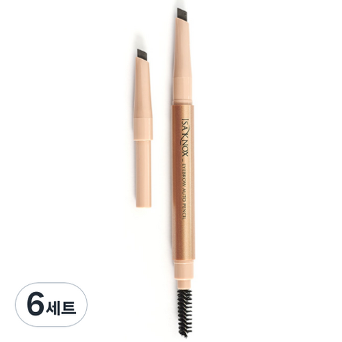 이자녹스 오토 아이브로우 0.2g + 리필 0.2g, 6세트, 01호