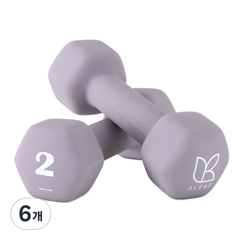 아리프 네오프렌 선인장 아령, 2kg, 6개
