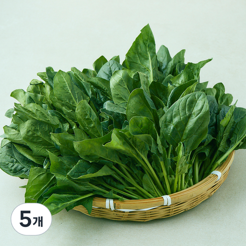 국내산 영덕 시금치, 600g, 5개