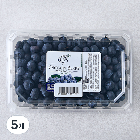 H&B 미국산 블루베리, 310g, 5개